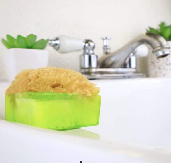 Green bar soap with sponge
